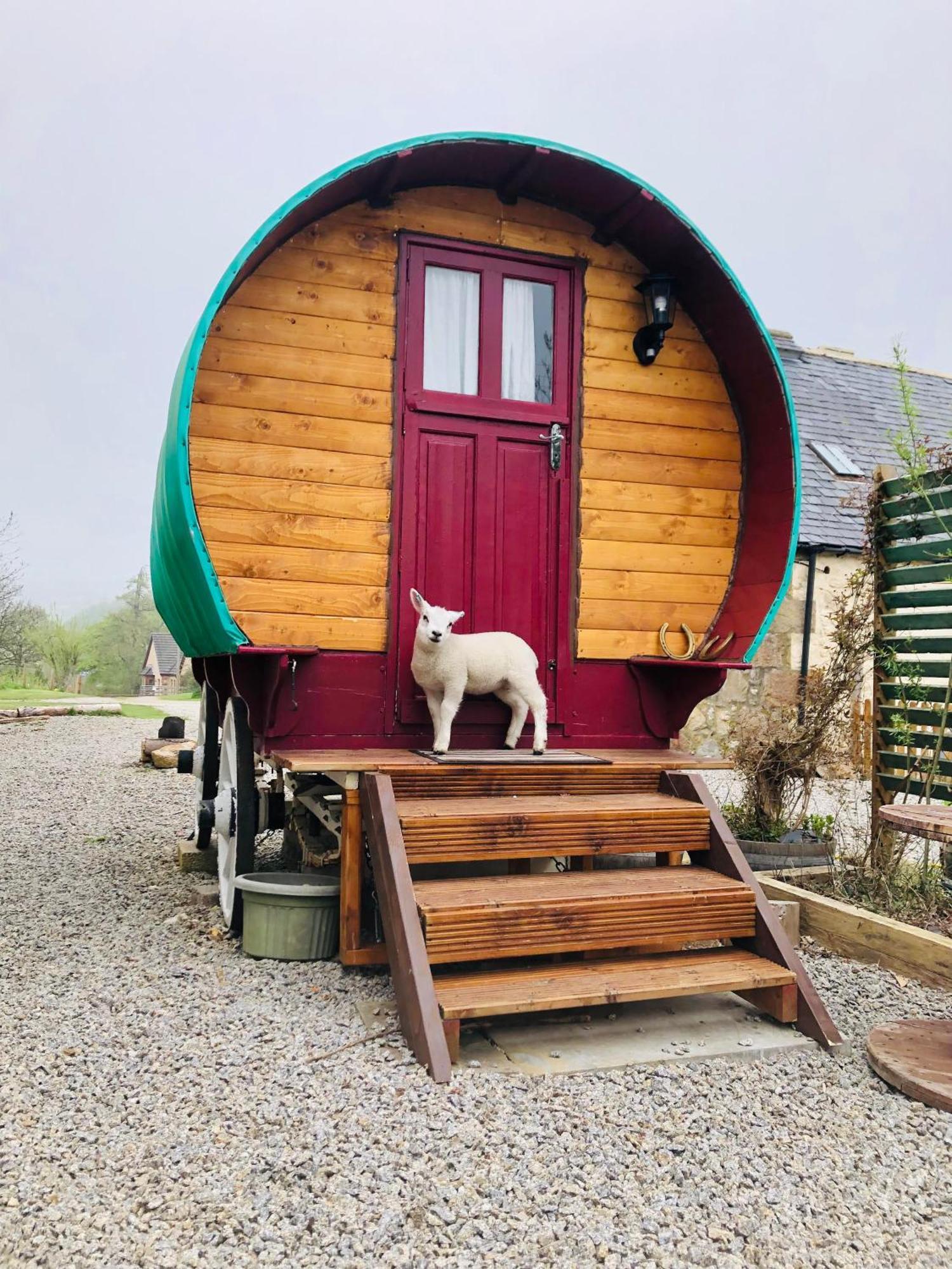 Bowtop Wagon At Lettoch Farm Luxury tent Keith